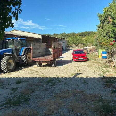 Gite A La Ferme Clansayes Kültér fotó